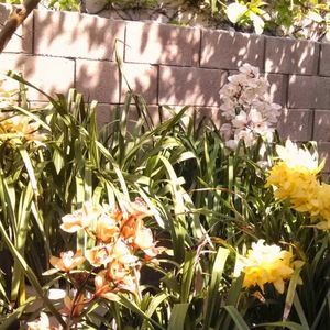 Meet your Posher, Mina